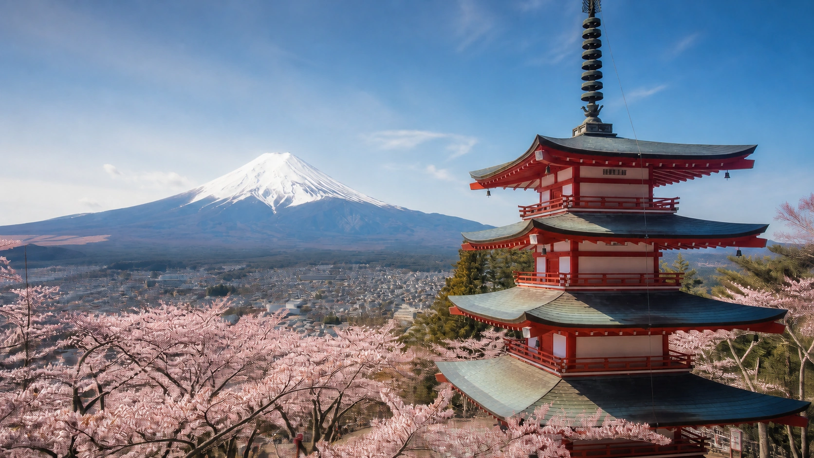Cherry blossoms surrounding a refined garden and traditional architecture in Japan.